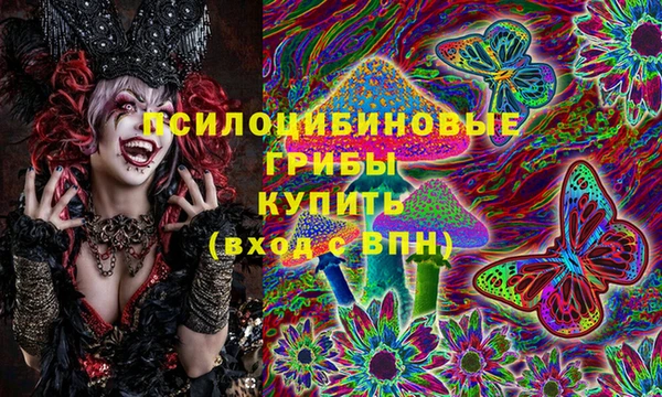 mdma Белокуриха