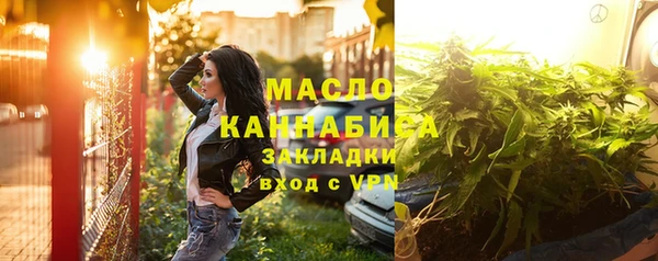 МДПВ Пересвет