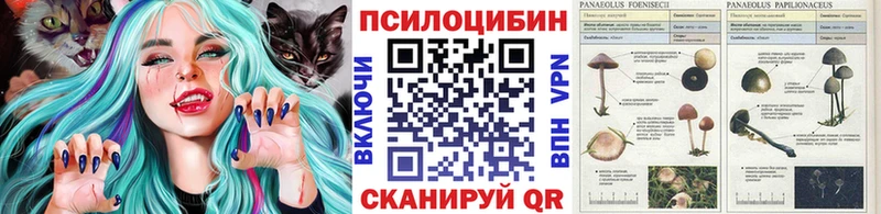 Галлюциногенные грибы мицелий  наркота  Тетюши 